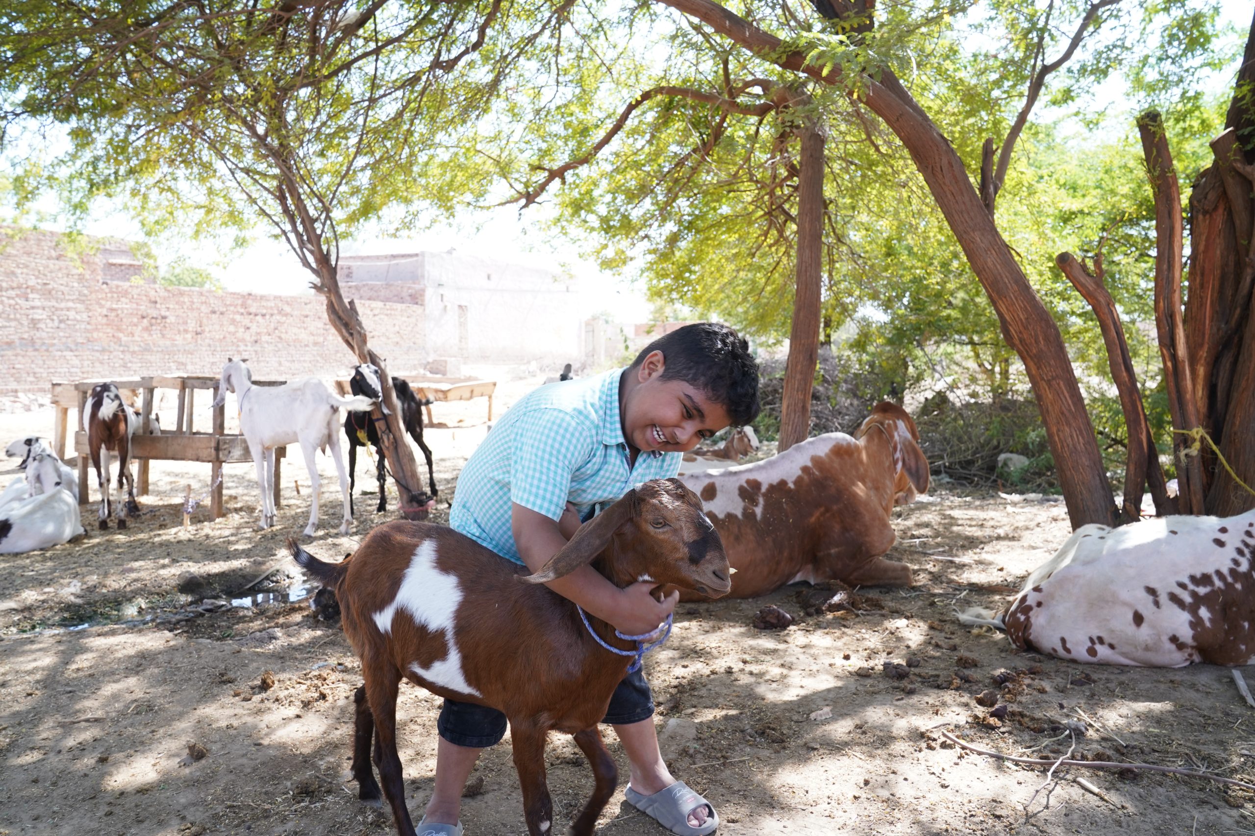 Qurbani 2026